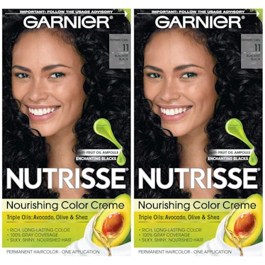 Garnier Nutrisse Nourishing Hair Color Creme (2 Count)