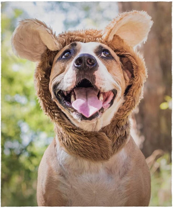 Collage.com Photo Blanket