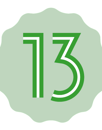 Android 13 logo