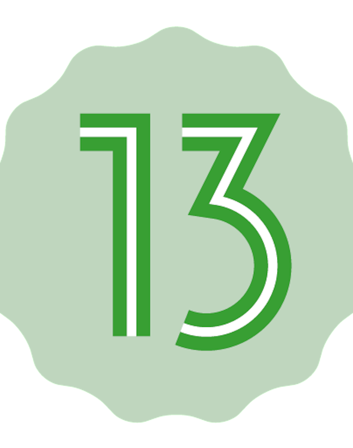 Android 13 logo