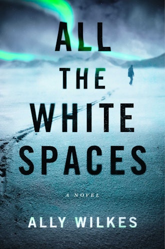 'All the White Spaces' by Ally Wilkes