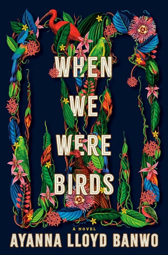 'When We Were Birds' by Ayanna Lloyd Banwo