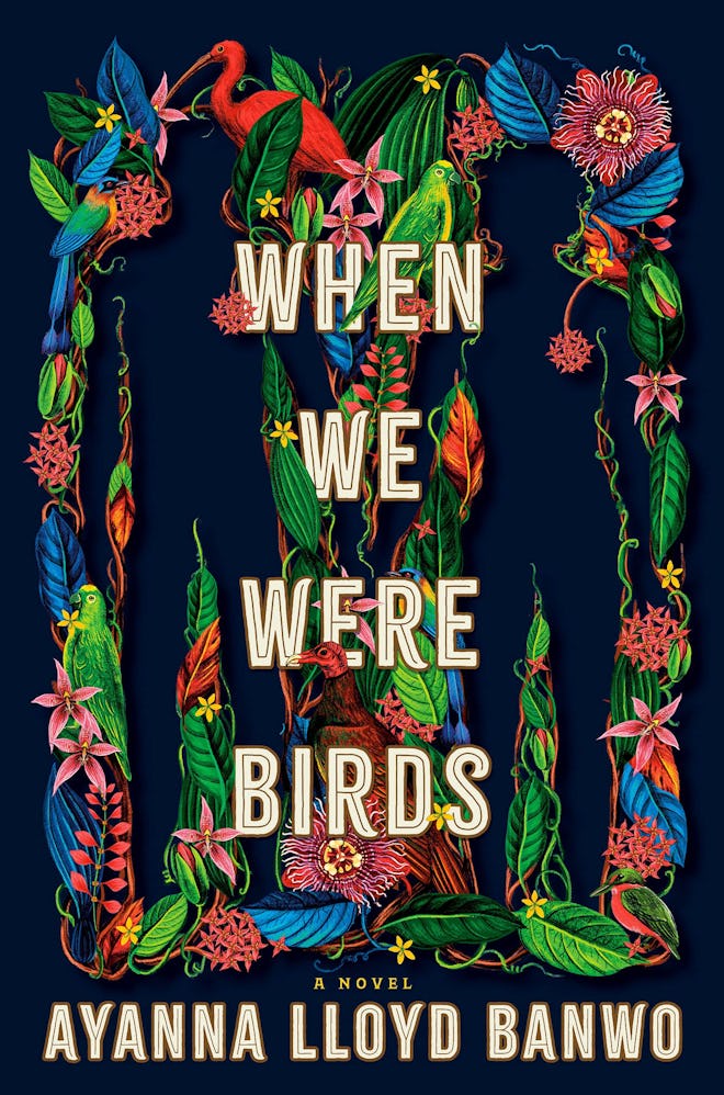 ‘When We Were Birds’ by Ayanna Lloyd Banwo