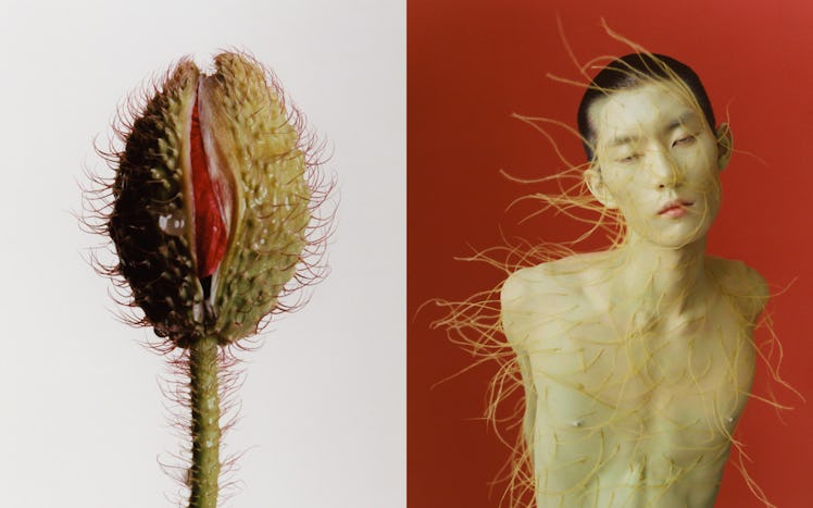  Cho Gi-Seok, Flower Study of a Venus Fly Trap and a human with a plant growing out of them