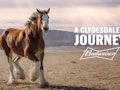 Budweiser is back with a commercial for Super Bowl 2022 featuring a “brand icon."