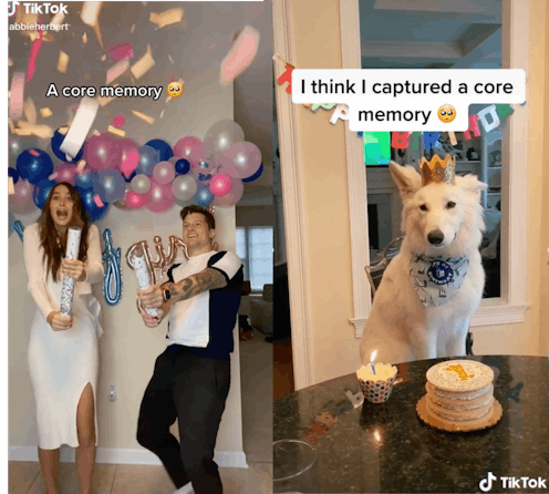 Screenshot of core memory TikTok trend with dog and gender reveal.