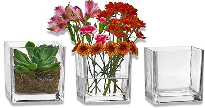 PARNOO Glass Square Vases (Set of 3)