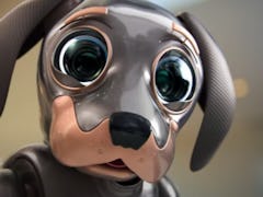 Kia’s robot dog commercial at the 2022 Super Bowl had Twitter in tears.