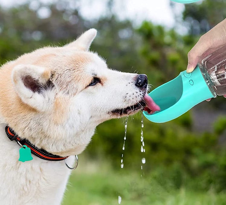 M&MKPET Portable Dog Water Bottle