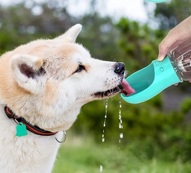 M&MKPET Portable Dog Water Bottle