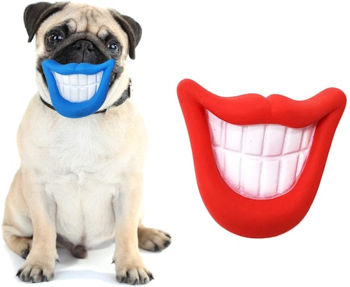 Zelica Smiling Mouth Squeaky Chew Dog Toy