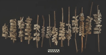 Ancient Peruvian bones on reeds