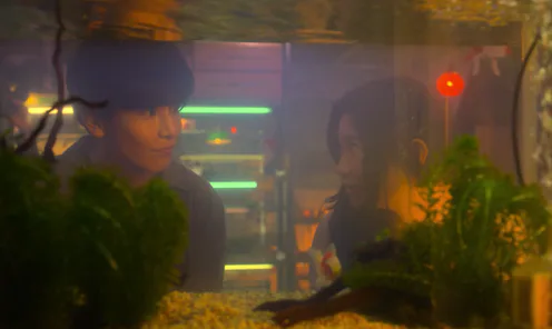 Housewife Sakura (Ryoko Shinohara) falls in love with another man in 'Fishbowl Wives.'