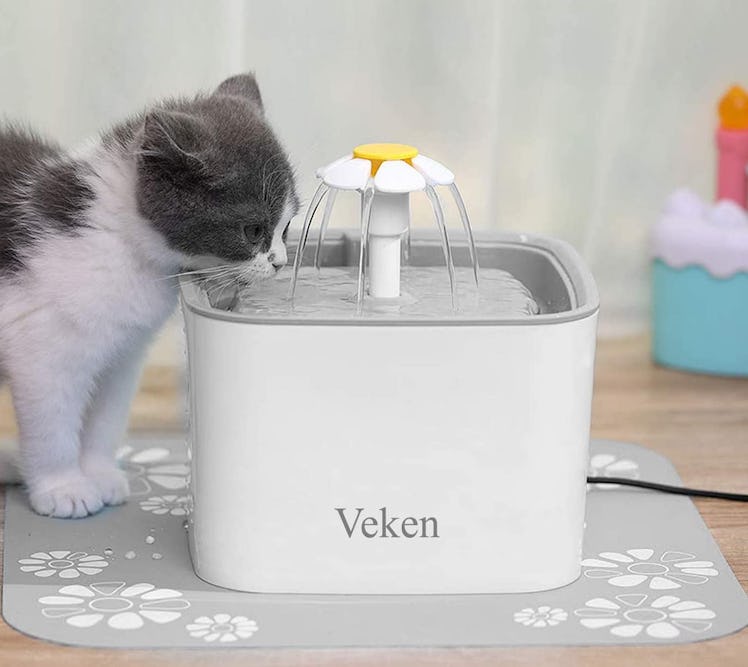 Veken Pet Water Fountain