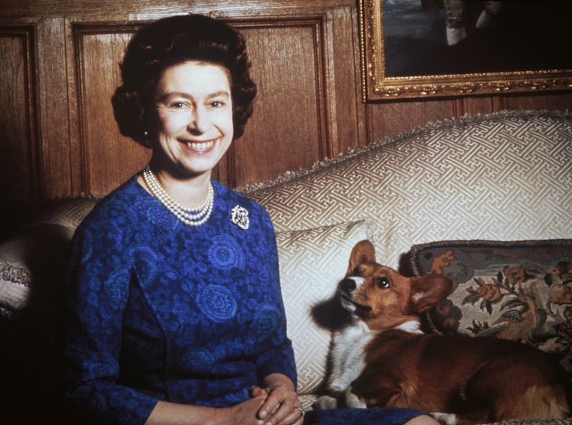 Queen Elizabeth II seated next to one of her corgis