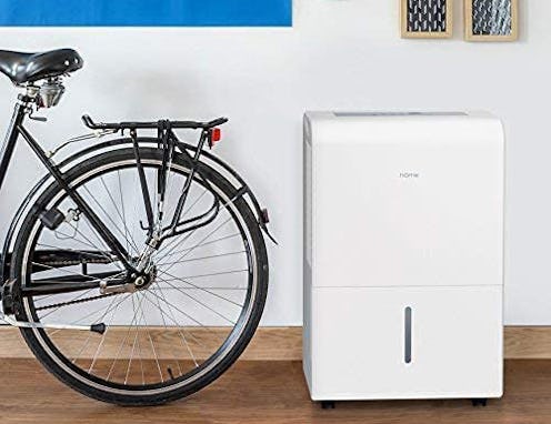 Best Whole-House Dehumidifiers