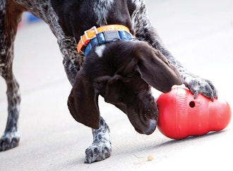 KONG Wobbler Treat Feeder