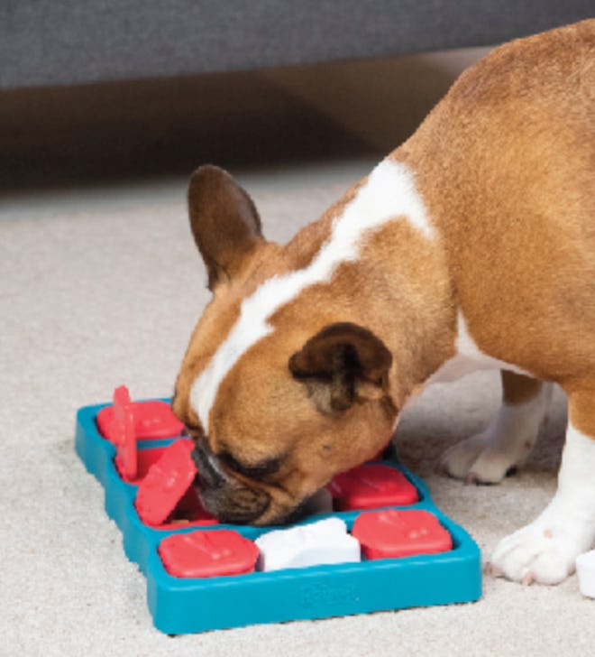 Outward Hound Treat Puzzle
