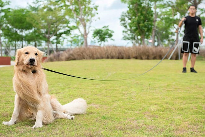 iYoPets Long Dog Leash