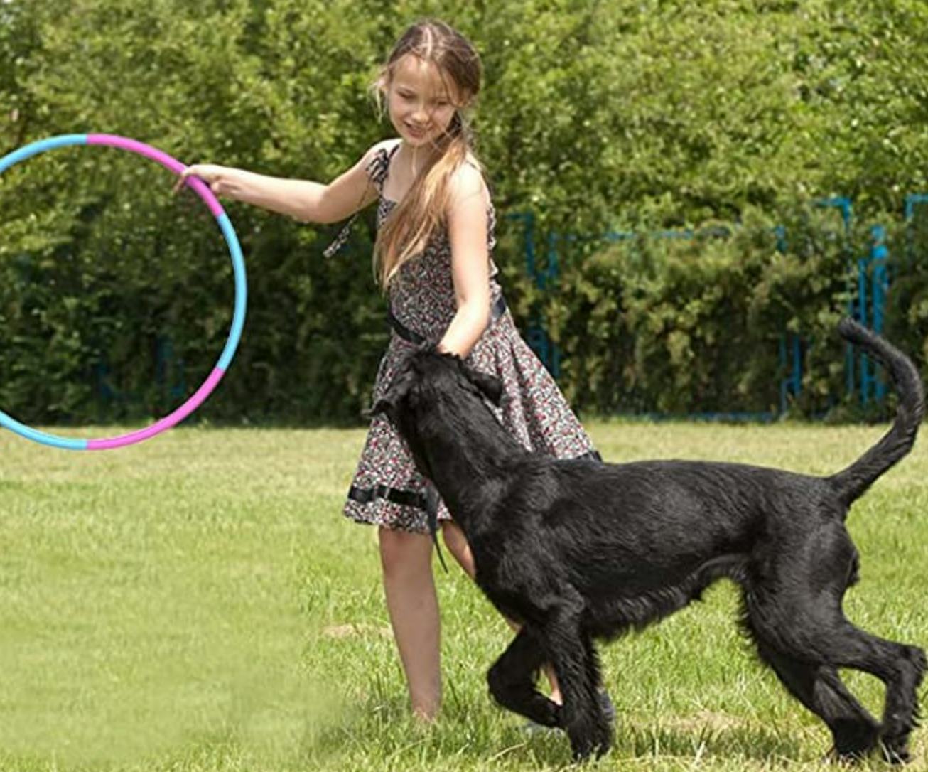Liberry Exercise Hoop