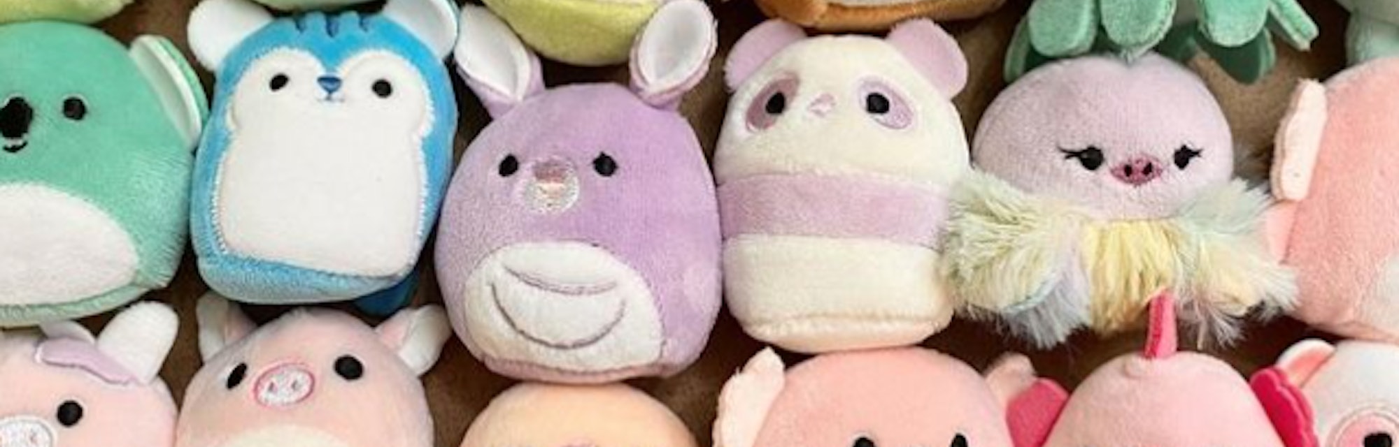 Rare Squishmallows can be hard to find and expensive, but certain versions are ridiculously popular.