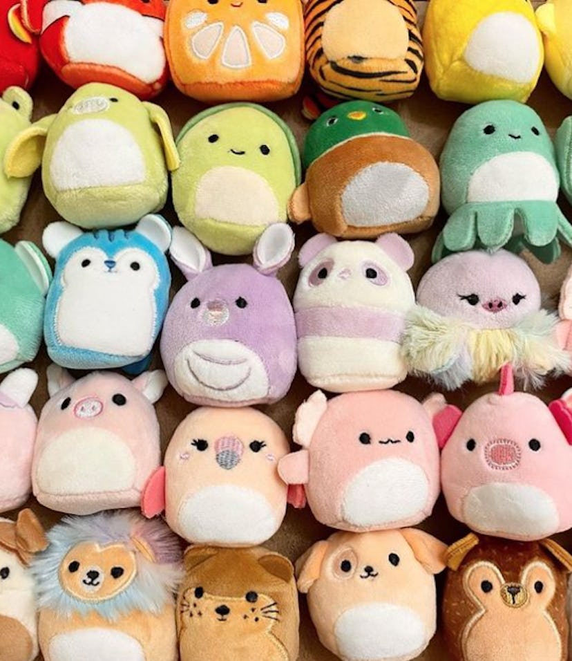 Rare Squishmallows can be hard to find and expensive, but certain versions are ridiculously popular.