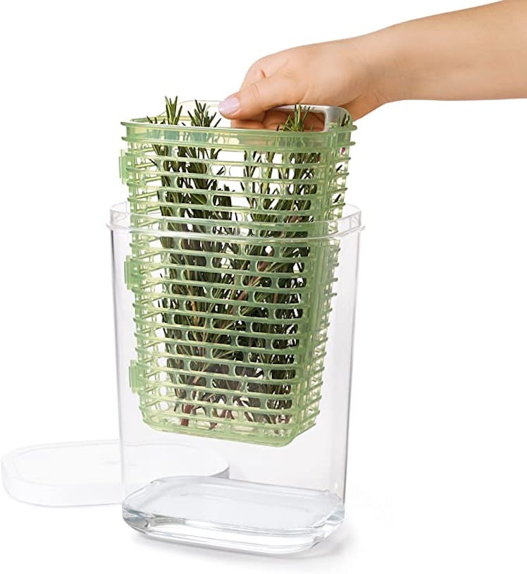 OXO Good Grips GreenSaver Herb Keeper