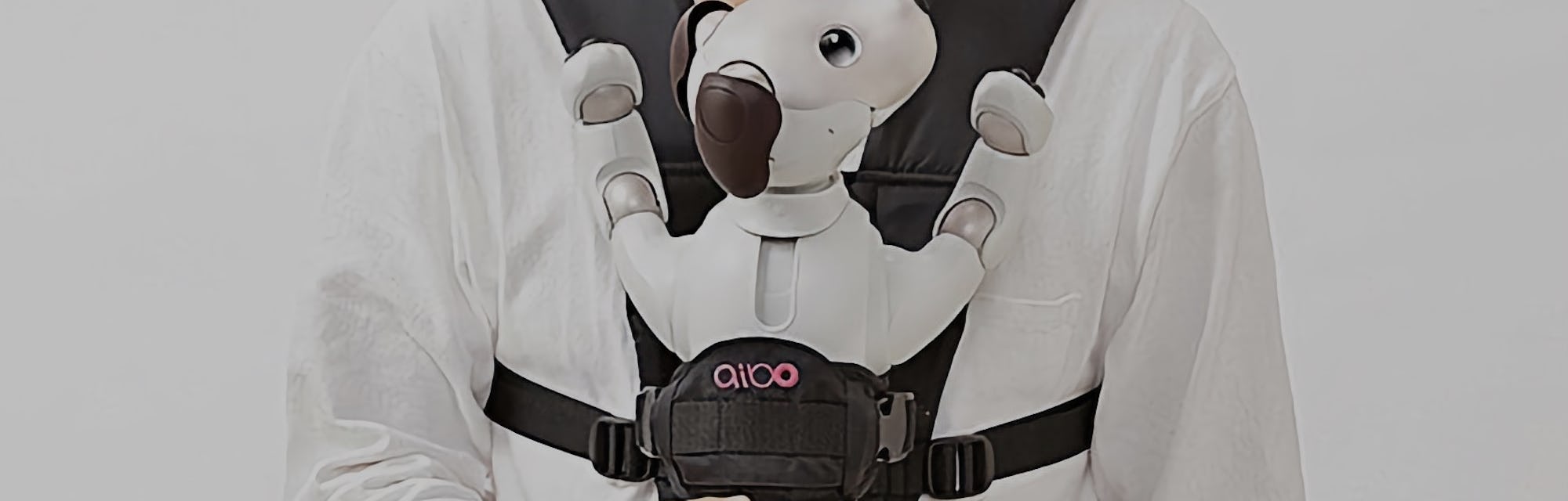 Sony Aibo Review: What It's Like To Live With a $2,900 Robot Dog