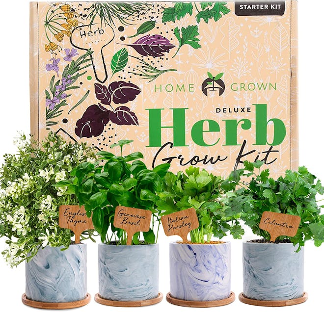 HOME GROWN Indoor Herb Garden Starter Kit