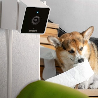 Petcube Home Monitoring Camera