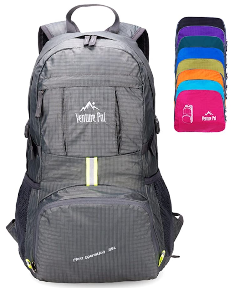 Venture Pal Foldable Backpack