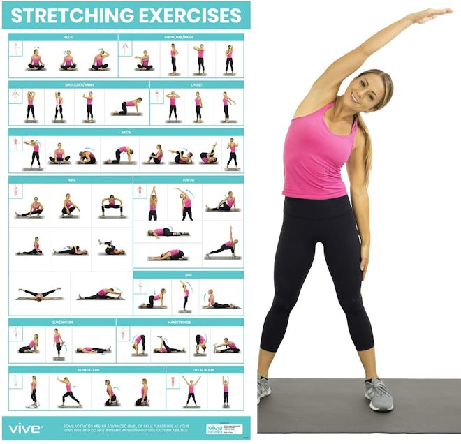 Vive Stretching Exercise Poster