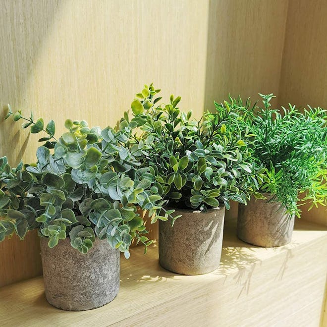 Winlyn Mini Potted Plants Artificial Eucalyptus Boxwood Rosemary