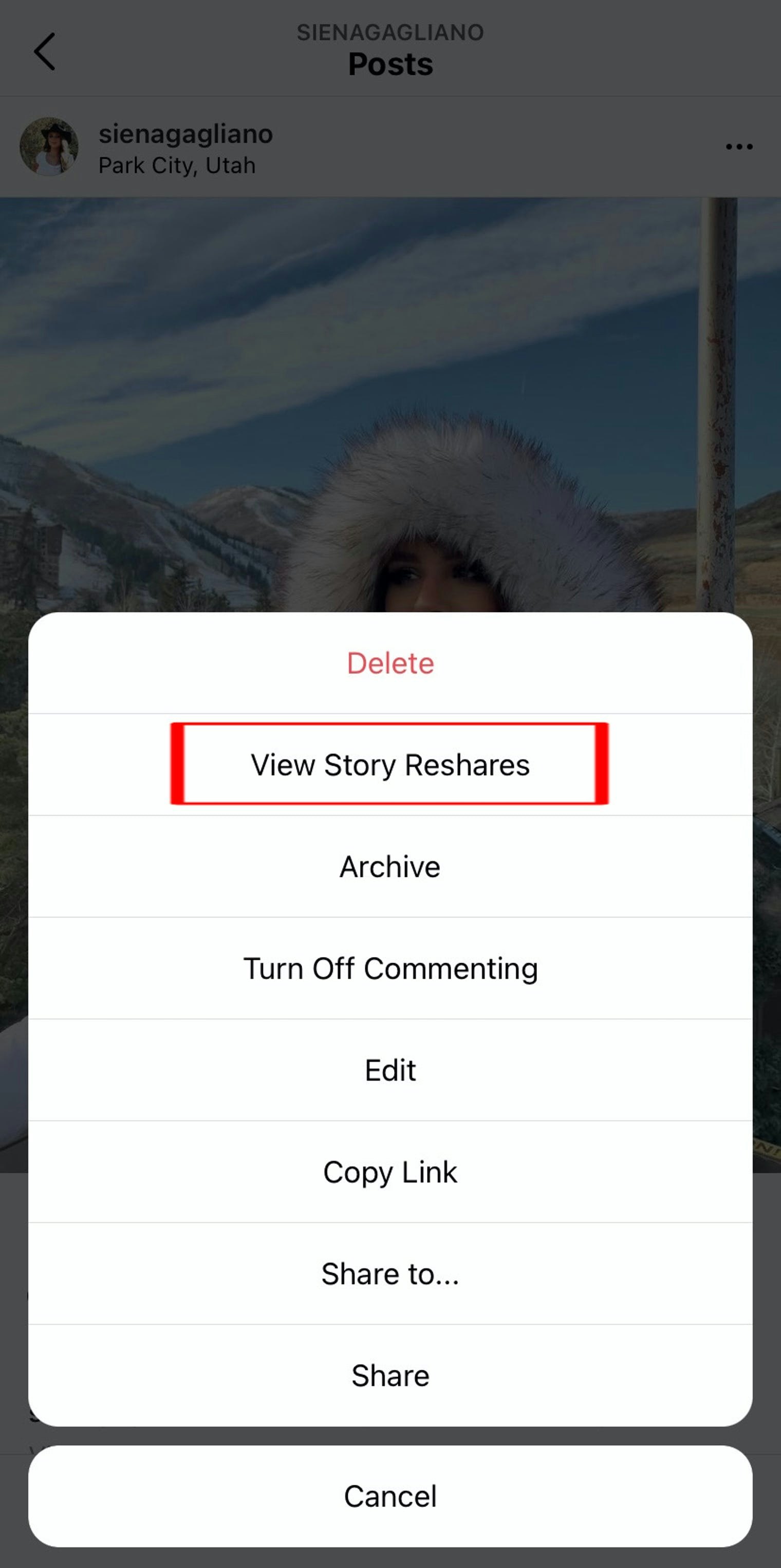 How to see current public reshares sale on instagram