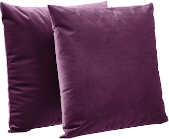 Amazon Basics Velvet Fleece Decorative Throw Pillows (2-Pack)