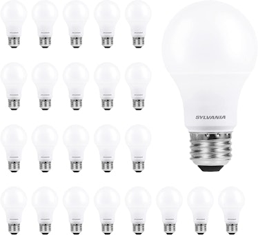 SYLVANIA ECO LED Light Bulb (24-Pack)