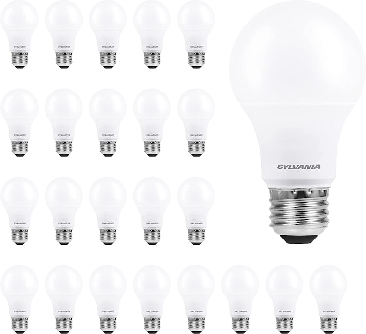 SYLVANIA ECO LED Light Bulb (24-Pack)