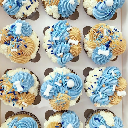 Bluey inspired cupcakes