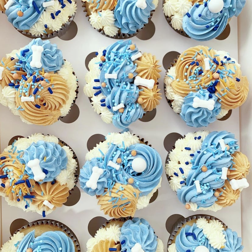 Bluey inspired cupcakes