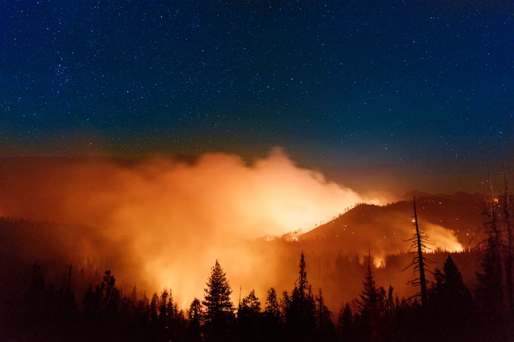 Forest fire in Yosemite at night