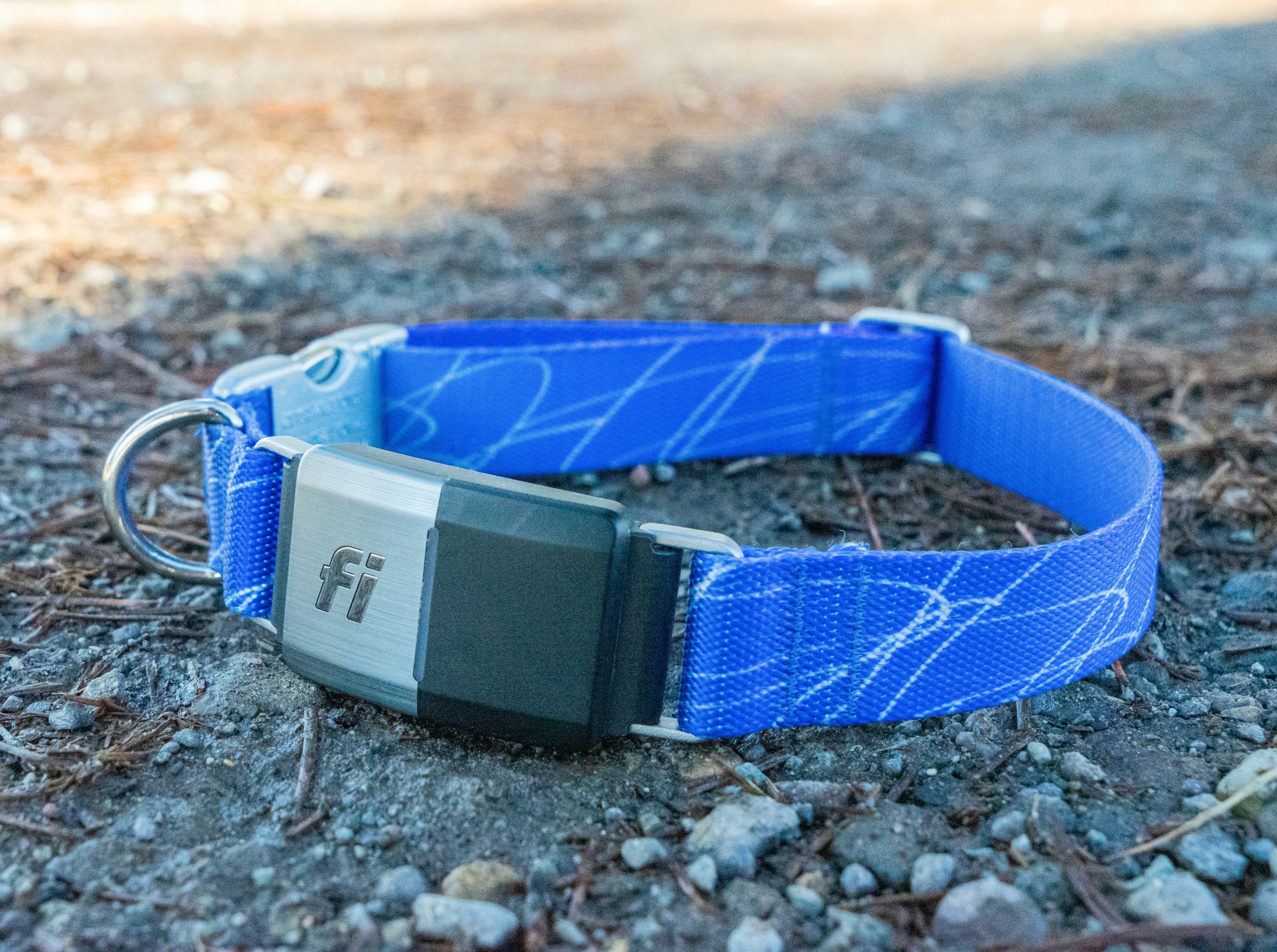 Fi Smart Dog Collar Review: Does Your Dog Really Need A Wi-Fi-connected ...