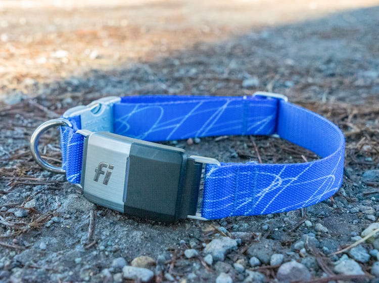 Fi Smart Dog Collar Review