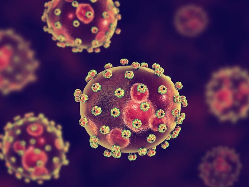 Around 20% of patients may experience severe illness from the Lassa fever virus.
