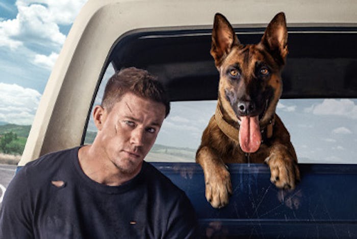 Channing Tatum's new movie 'Dog' is a road trip story.