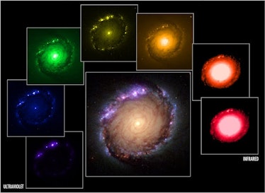 A single image in a collage of 7 broad-band filters from ulatraviolet to infrared