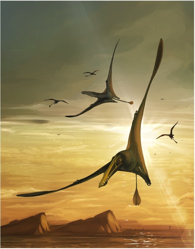 Pterosaurs flying