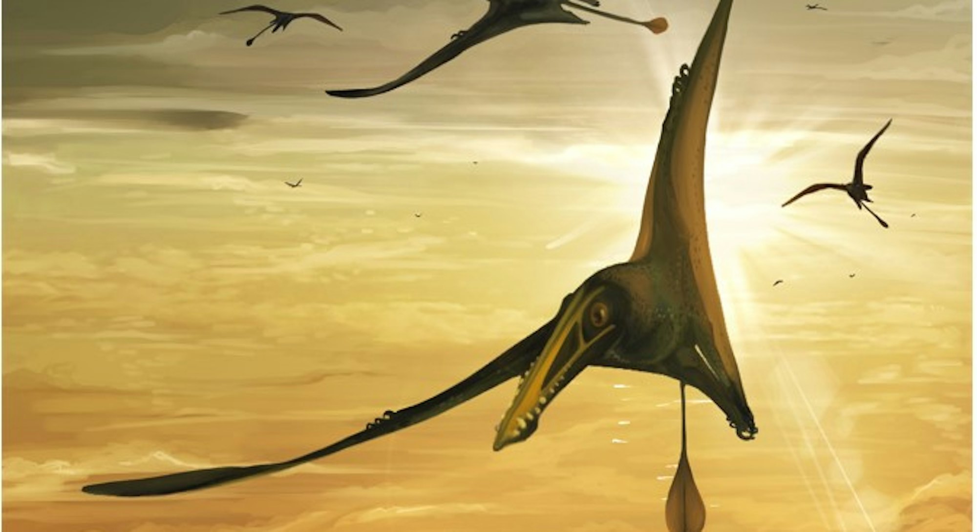 Pterosaurs flying