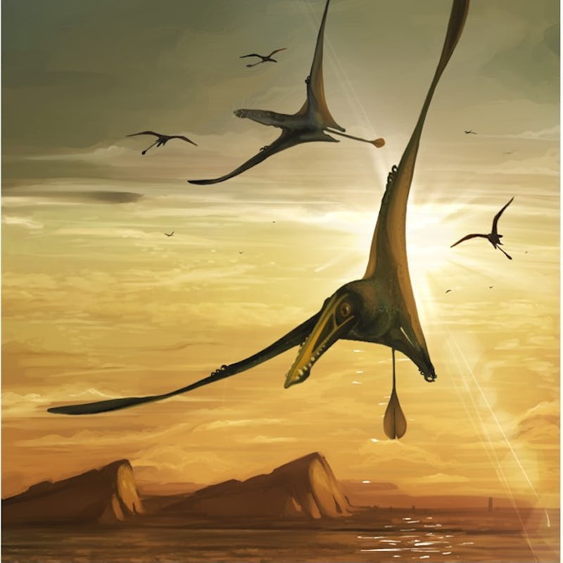 Pterosaurs flying