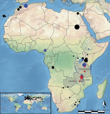 african map showing ancient dna