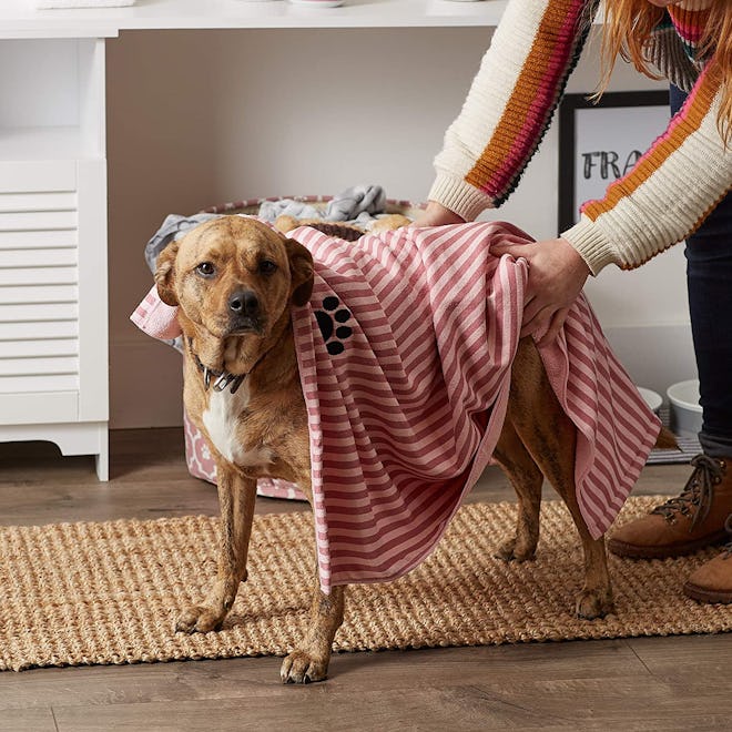 Bone Dry Pet Drying Towel